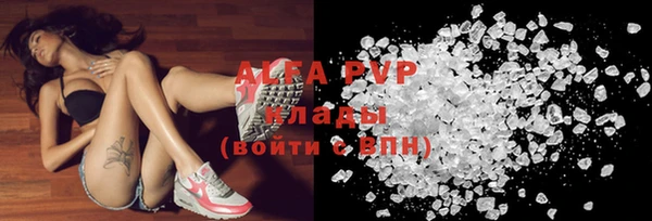 прущие грибы Мегион