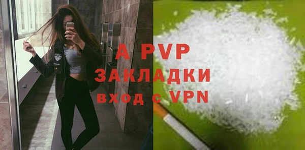 прущие грибы Мегион