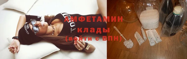 прущие грибы Мегион