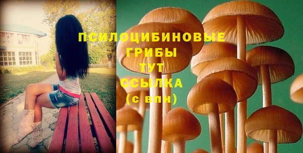 прущие грибы Мегион
