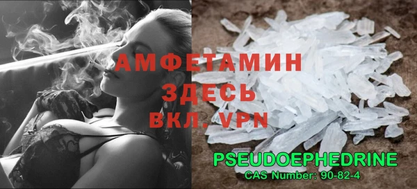 прущие грибы Мегион