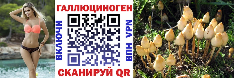 Псилоцибиновые грибы MAGIC MUSHROOMS  Нижнекамск 